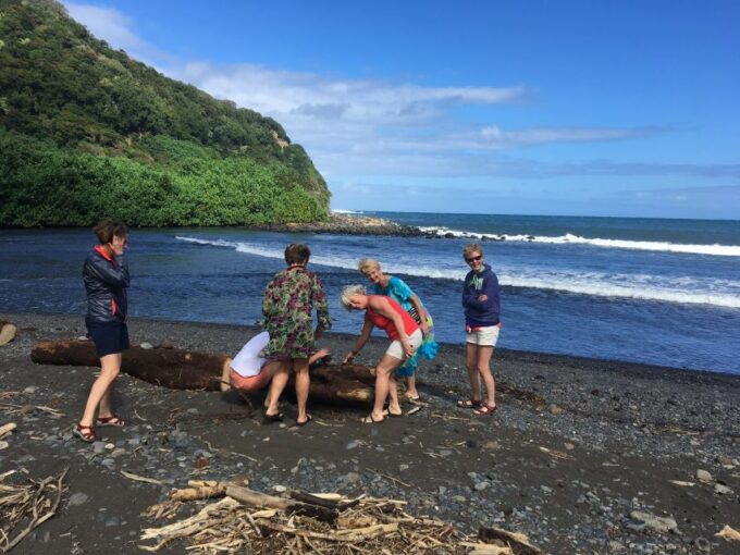 Maui: Road to Hana Private Adventure Tour With Luxury SUV - Scenic Landscapes and Attractions