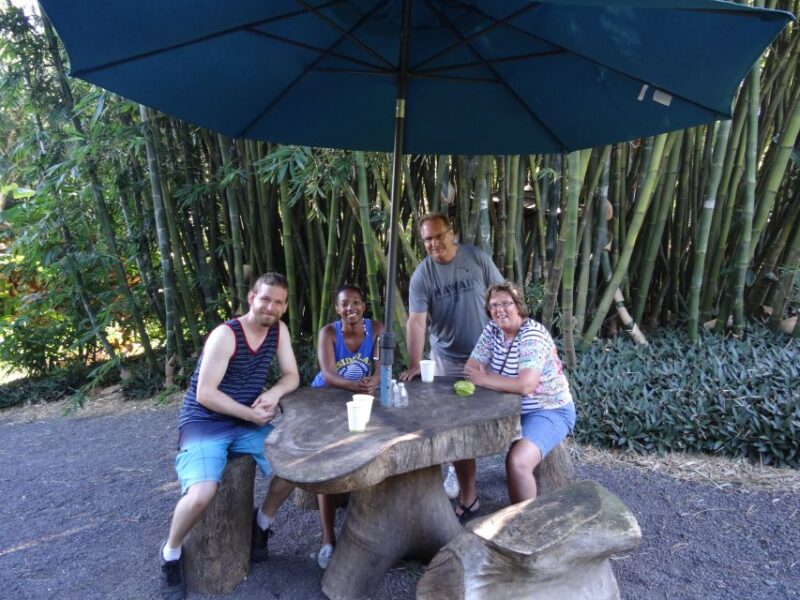 Maui: Road to Hana Waterfalls Tour With Lunch - Included in the Tour