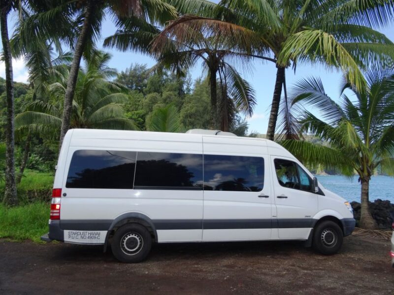 Maui: Road to Hana Waterfalls Tour With Lunch - Who Can Participate
