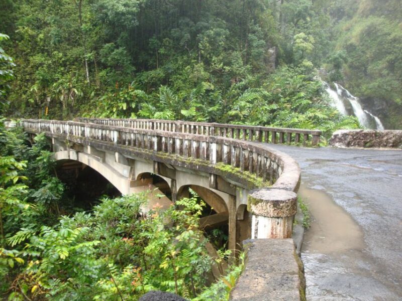 Maui: Road to Hana Waterfalls Tour With Lunch - Customer Feedback