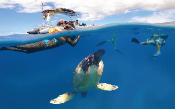 Maui: Semi-Private 2.5 Hour Eco-Raft Turtle Snorkel Tour - Weather Policy