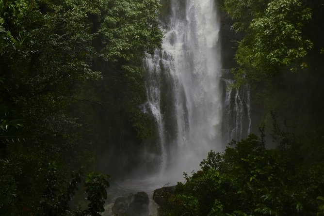 Maui Shore Excursion : Road to Hana Tour From Kaanapali - Transportation and Accessibility
