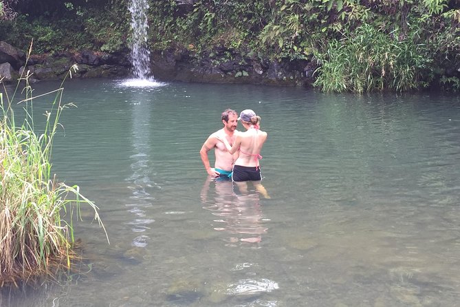 Maui Shore Excursion : Road to Hana Tour From Kaanapali - Traveler Reviews and Ratings