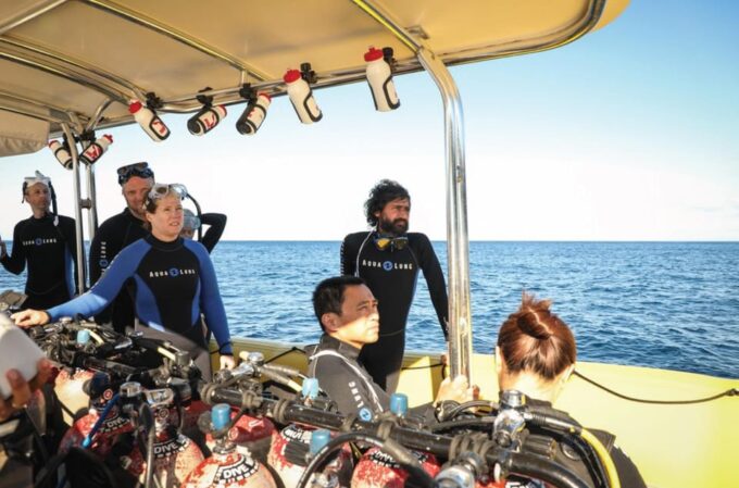 Maui: Small Group 2 Tank Shark & Turtle SCUBA Dive by Boat - Additional Items to Bring