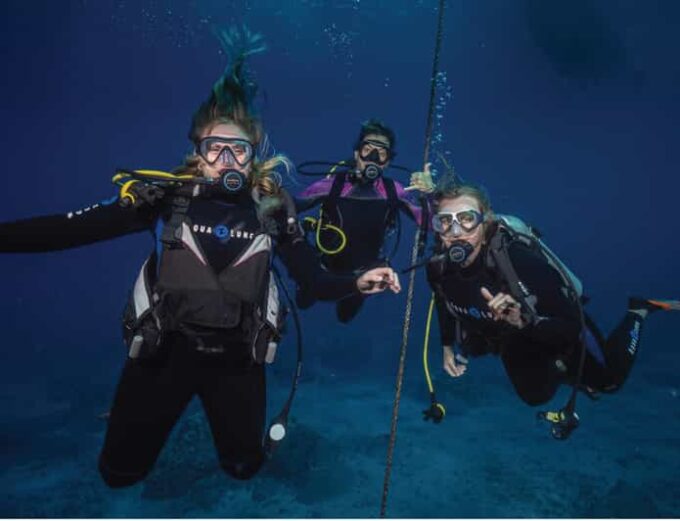 Maui: Small Group 2 Tank Shark & Turtle SCUBA Dive by Boat - Booking and Cancellation Policies