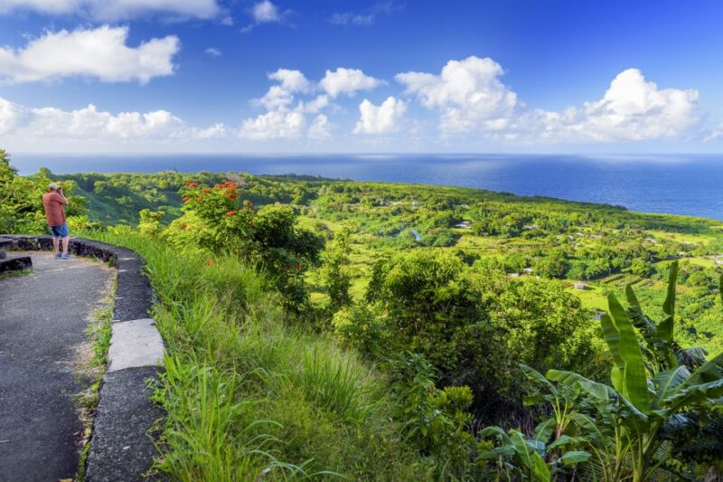 Maui: Small-Group Road to Hāna Sightseeing Tour - Inclusions