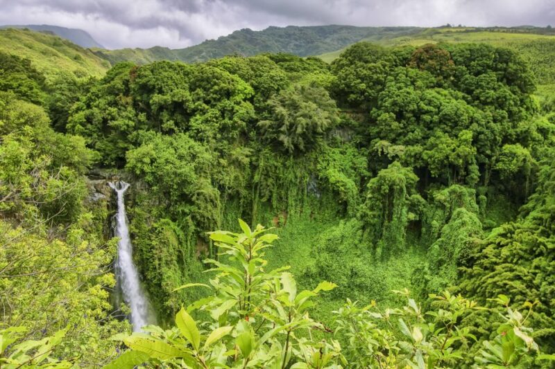 Maui: Small-Group Road to Hāna Sightseeing Tour - Scenic Views