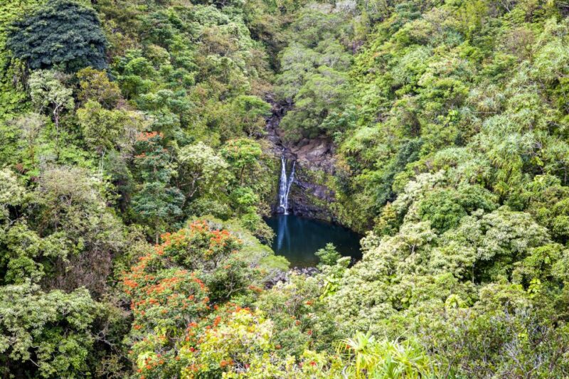 Maui: Small-Group Road to Hāna Sightseeing Tour - Notable Stops