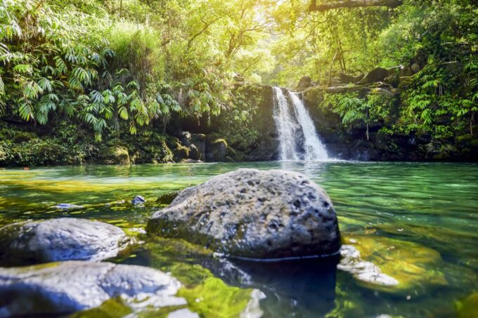 Maui: Small-Group Road to Hāna Sightseeing Tour - Customer Feedback