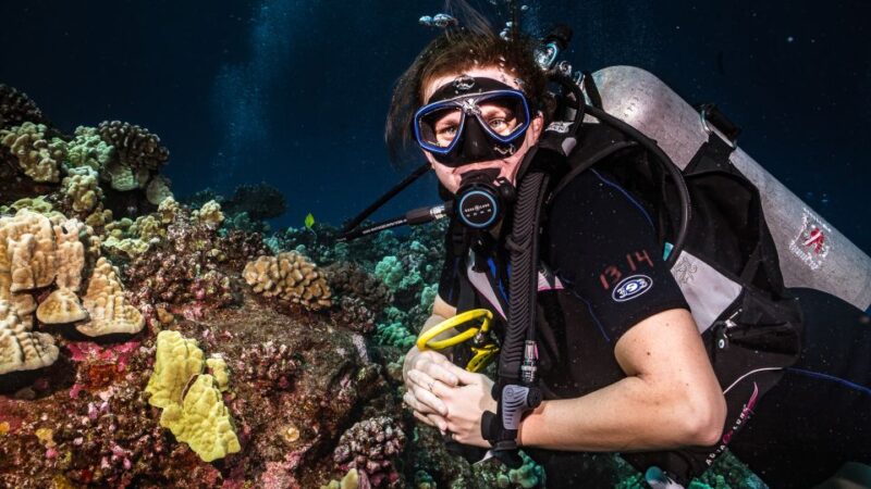 Maui: Small Group Shark & Turtle Scuba Dive From Shore - Certification Requirements