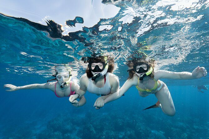 Maui Snorkeling Boat Tour to Turtle Town Aboard Quicksilver - Key Points