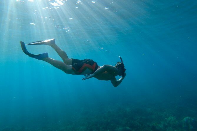 Maui Snorkeling Boat Tour to Turtle Town Aboard Quicksilver - FAQ