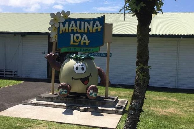 Maui to Big Island : Big Island Volcano Helicopter Tour & Ground Tour - Breathtaking Helicopter Tour