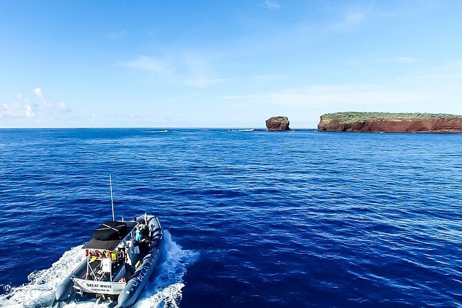 Maui to Lanai Semi-Private Eco Raft Snorkel & Dolphin Tour - Eco-Friendly Practices
