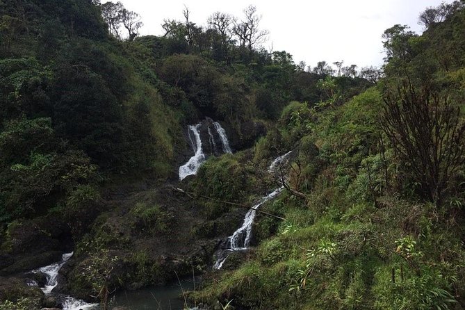 Maui Tour : Road to Hana Day Trip From Kahului - Vehicle and Group Size Details