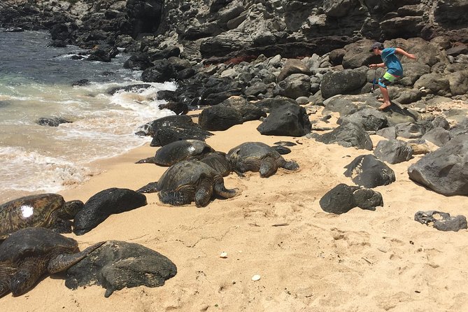 Maui Tour : Road to Hana Day Trip From Lahaina - Scenic Waterfalls and Viewpoints