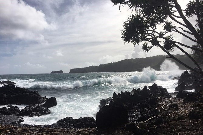 Maui Tour : Road to Hana Day Trip From Lahaina - Pickup Locations and Schedules