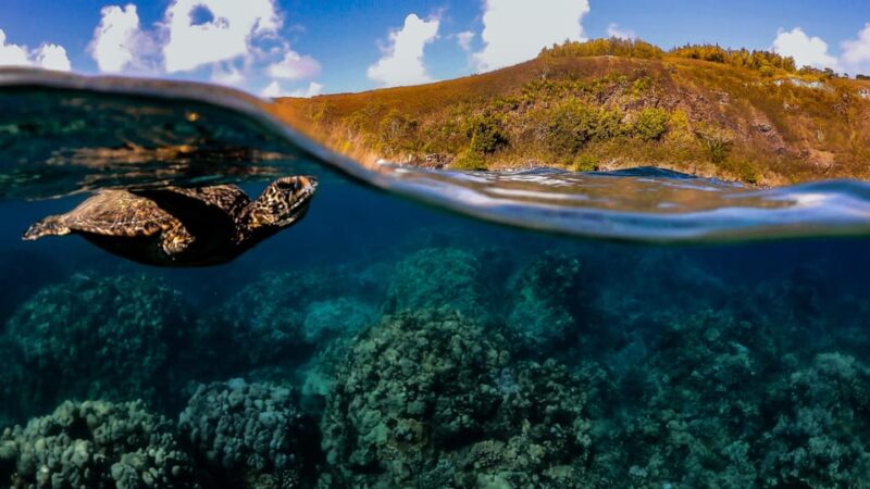 Maui: Turtle Town Sunset Glow Snorkel With Optional Photo - Included Snorkeling Equipment