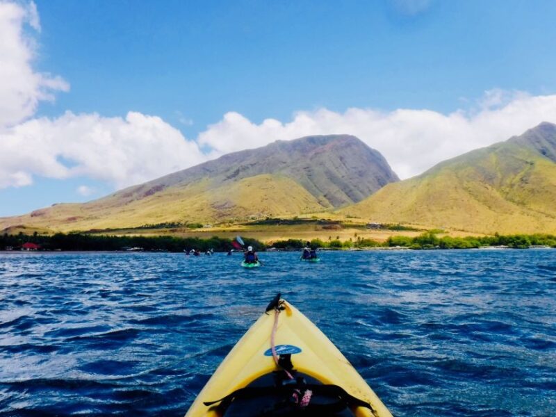 Maui: West Side Discovery Kayak & Snorkel From UKUMEHAME - Customer Reviews