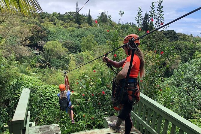 Maui Zipline Eco Tour - 8 Lines Through the Jungle - Just The Basics