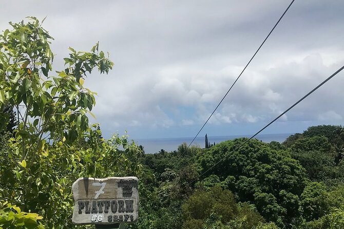 Maui Zipline Eco Tour - 8 Lines Through the Jungle - Location and Activity