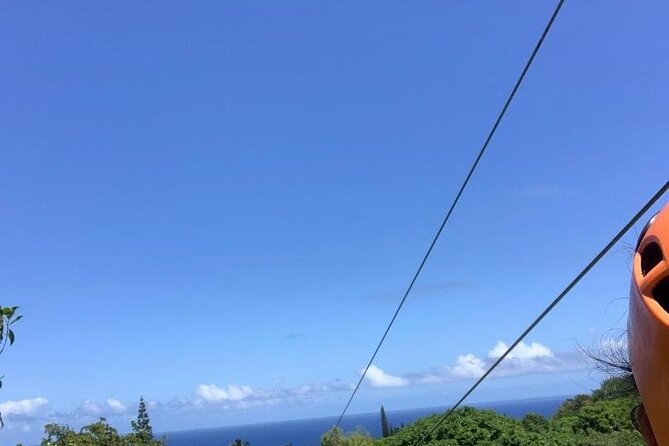 Maui Zipline Eco Tour - 8 Lines Through the Jungle - Cancellation Policy