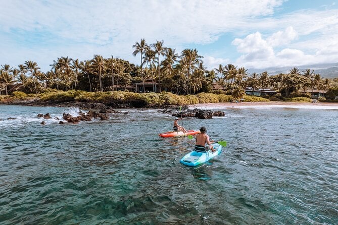 Maui'S ONLY Electric Powered Kayak & SUP Hybrid Rentals. - Unparalleled Maui Experience