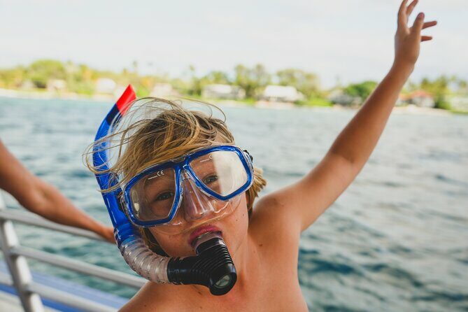 Mauna Kea 3hr Two Stop Sealife Snorkel Adventure - The Value of the Tour