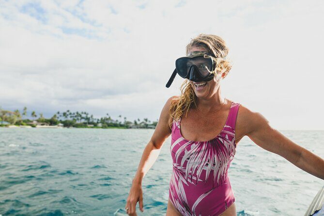 Mauna Kea 3hr Two Stop Sealife Snorkel Adventure - The Sum Up: Is It Worth It?