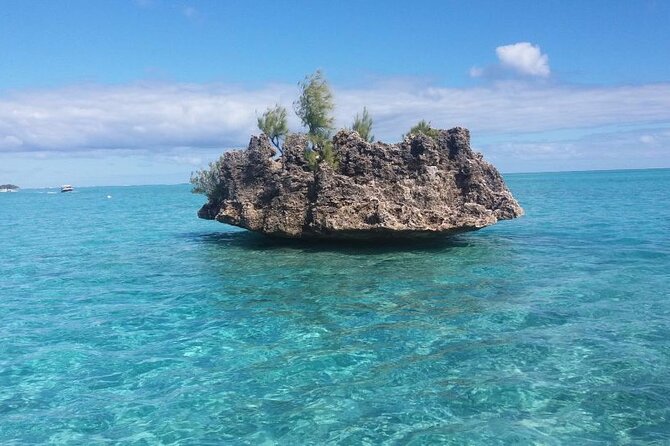 Mauritius : Dolphins Swim and Ile Aux Bénitiers With BBQ - Exploring Ile Aux Bénitiers