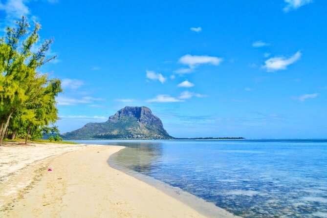 Mauritius : Dolphins Swim and Ile Aux Bénitiers With BBQ - Indulging in a Sumptuous BBQ