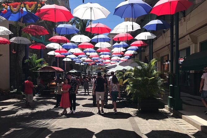 Mauritius Full Day : Private North Tour - Key Points