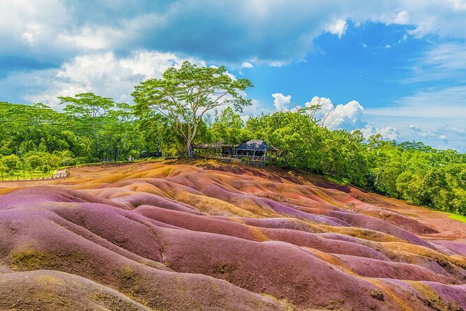 Mauritius Full Day Tour : Private South West With Lunch - Tour Highlights