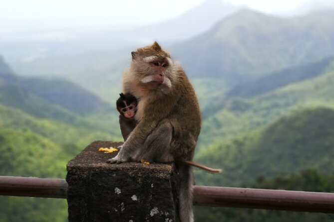 Mauritius Guided South Tour (Private) - Stunning Landscapes