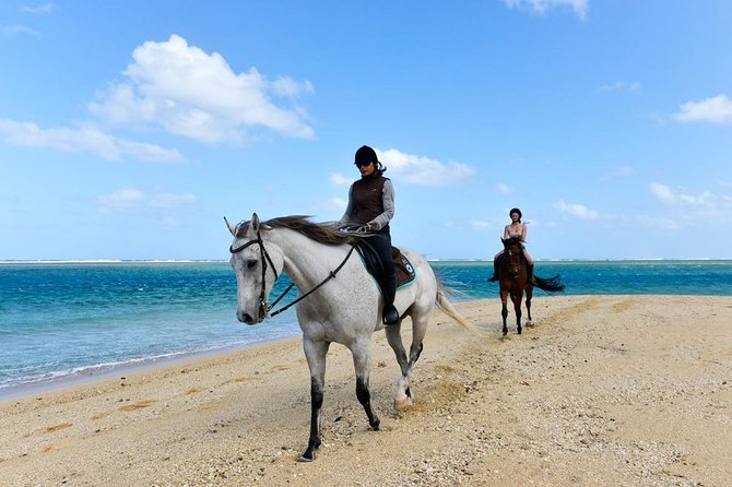 Mauritius Horse Riding at Riambel - Meeting and End Point Details