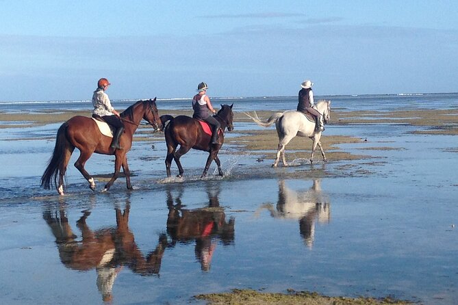 Mauritius Horse Riding at Riambel - Participant Guidelines and Restrictions