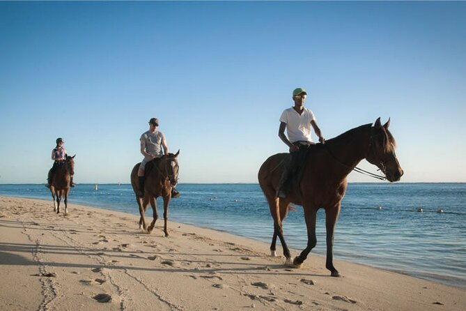 Mauritius Horse Riding at Riambel - Cancellation and Timing Information