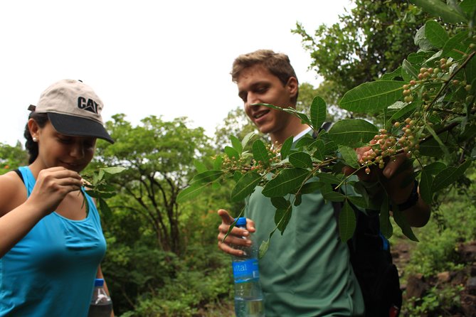 Mauritius Le Morne Hiking Including Transfer - Recap