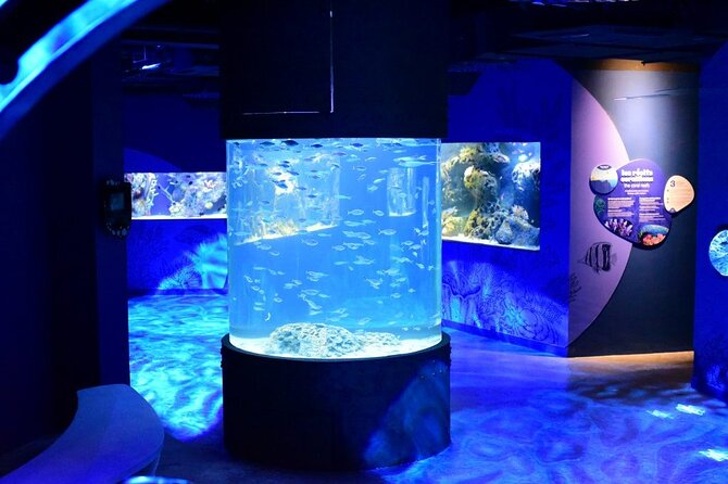 Mauritius Odysseo Oceanarium in Port Louis - Reviews and Ratings