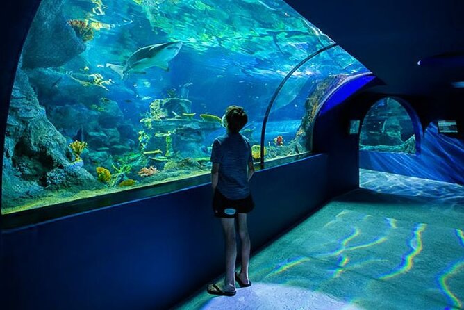 Mauritius Odysseo Oceanarium in Port Louis - Inclusion Details