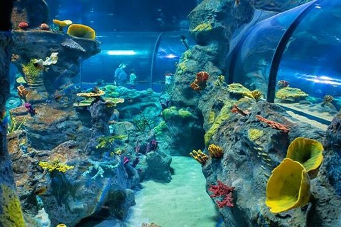 Mauritius Odysseo Oceanarium in Port Louis - Booking Information