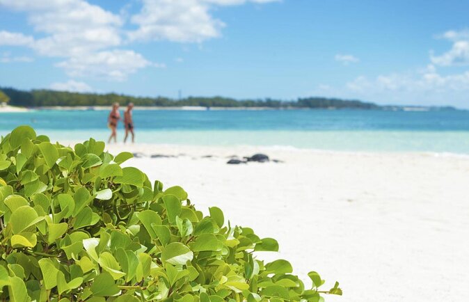 Mauritius South Tour Including Blue Bay Glass Bottom Boat & Snorkelling - Key Points