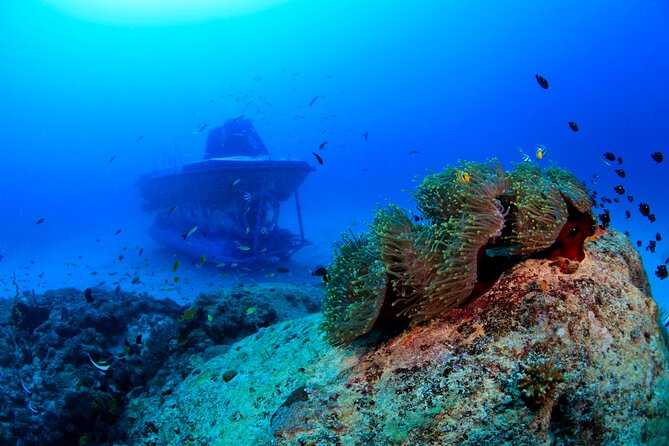 Mauritius Unique Submarine Tour - Tour Details