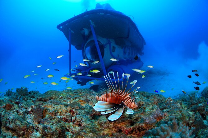 Mauritius Unique Submarine Tour - Guest Reviews