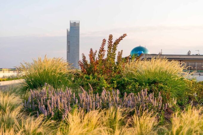 Mauto E Fiat Lingotto District Private Tour - Frequently Asked Questions