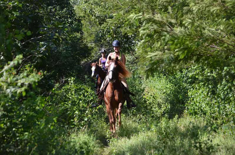 Maya Adrenaline: Horse, Quad, Ziplines, Rappel & Cenote - Pricing and Reservation