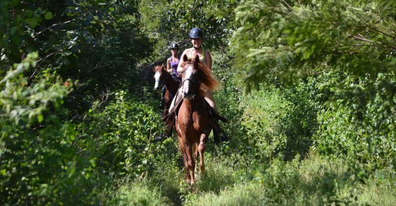 Maya Adrenaline: Horse, Quad, Ziplines, Rappel & Cenote - Meeting Points and Transportation