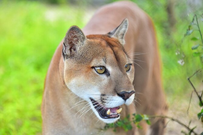 Maya Culture and History, Secluded Island and Animal Rescue Center at Maya Key - Dining Options on Maya Key