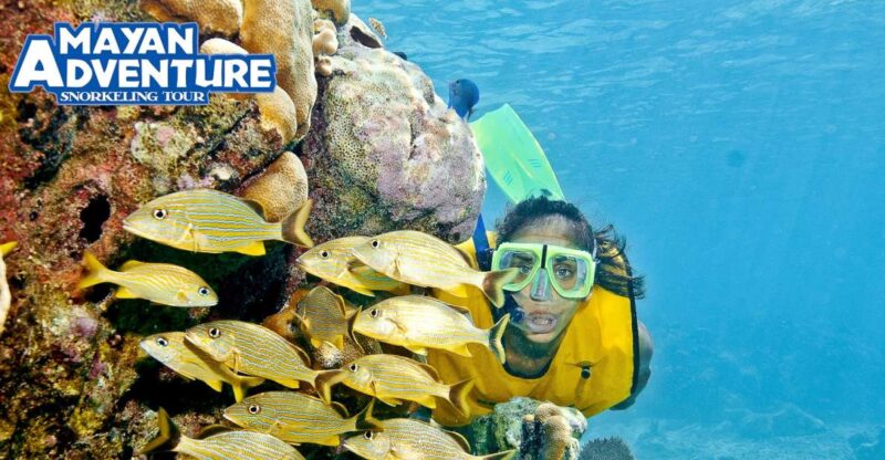 Mayan Adventure - 3 Different Snorkeling Sites in One Day! - Snorkeling Experiences