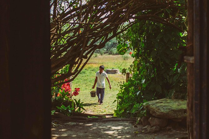 Mayan Backroads Private Bike Tour From Tulum - Activities in Punta Laguna